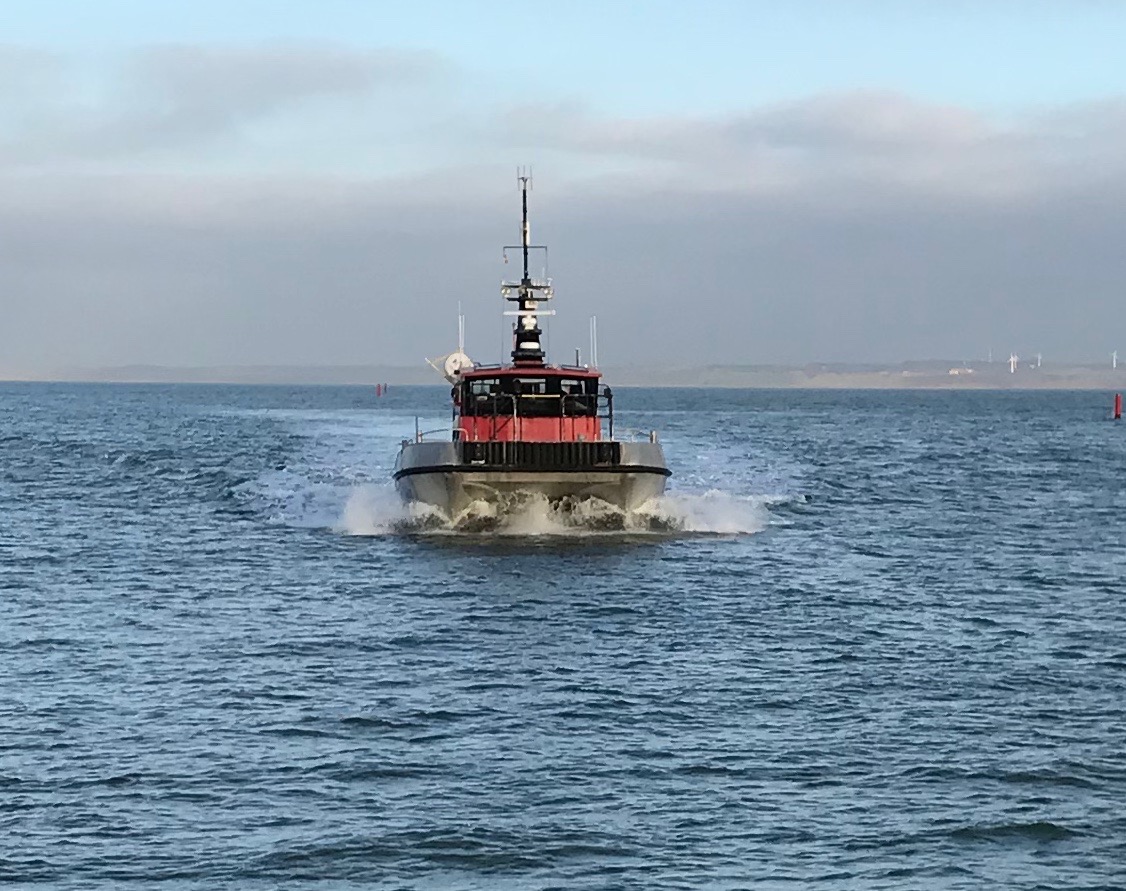 Føniks Spirit
